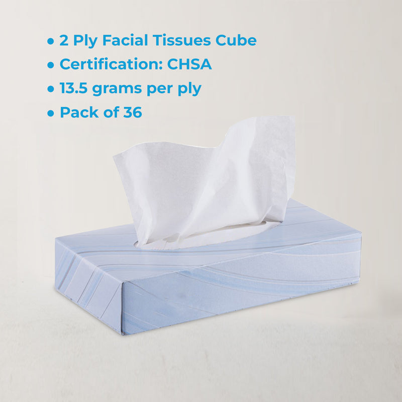 Facial Tissues 2 Ply 100 Sheets (Pack Of 36) (8757131411711)