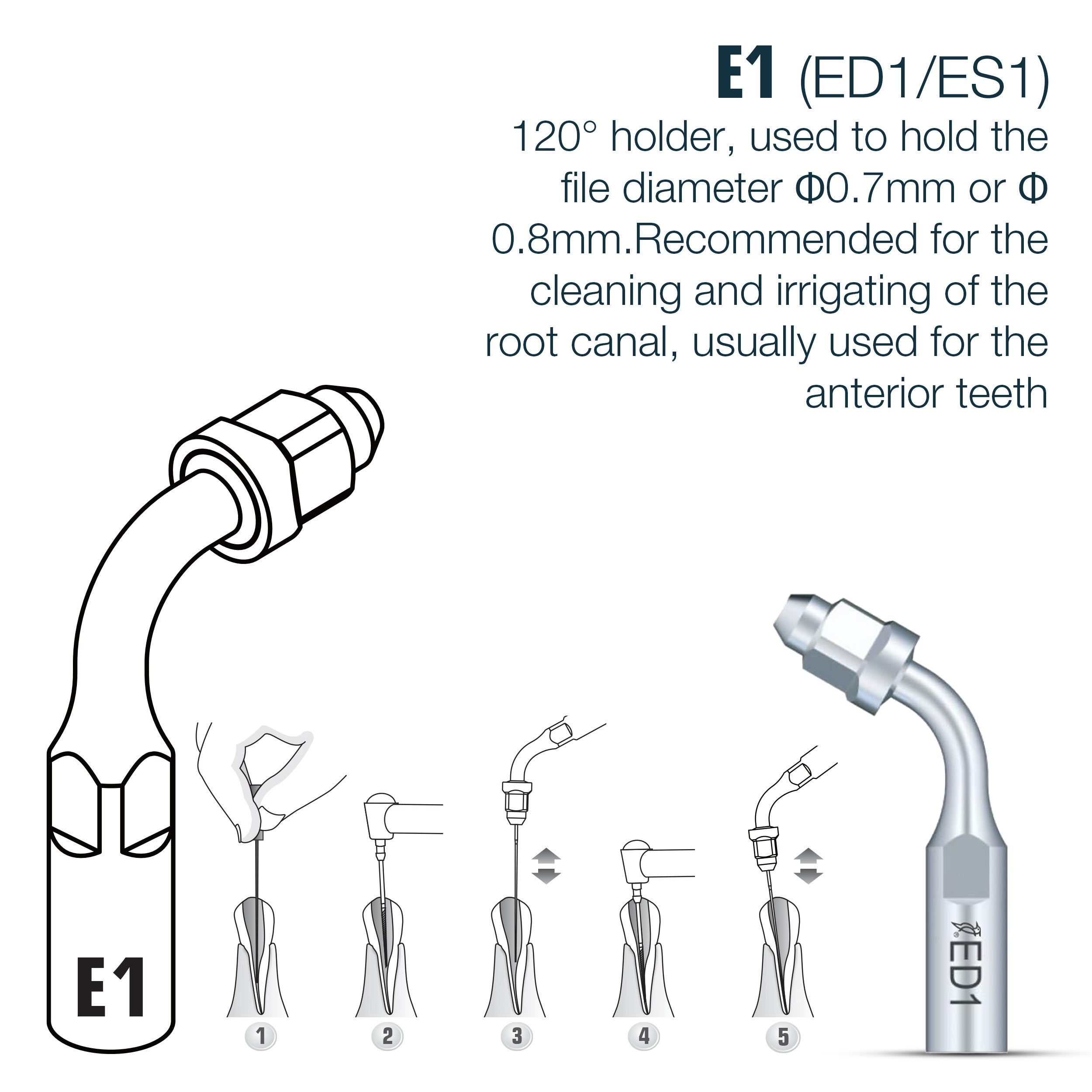 DTE Endo Tips (singles) (4440339382359)