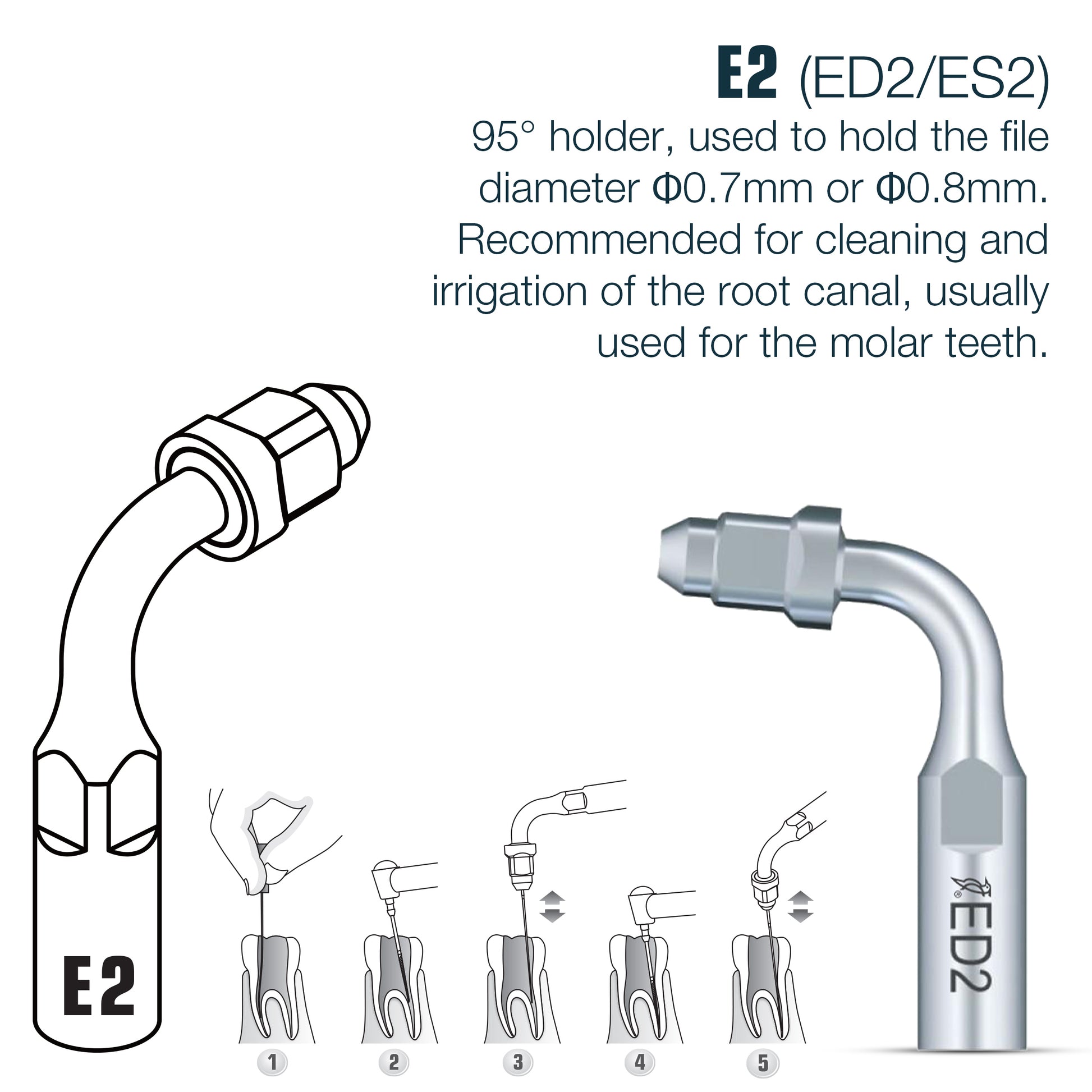 DTE Endo Tips (singles) (4440339382359)