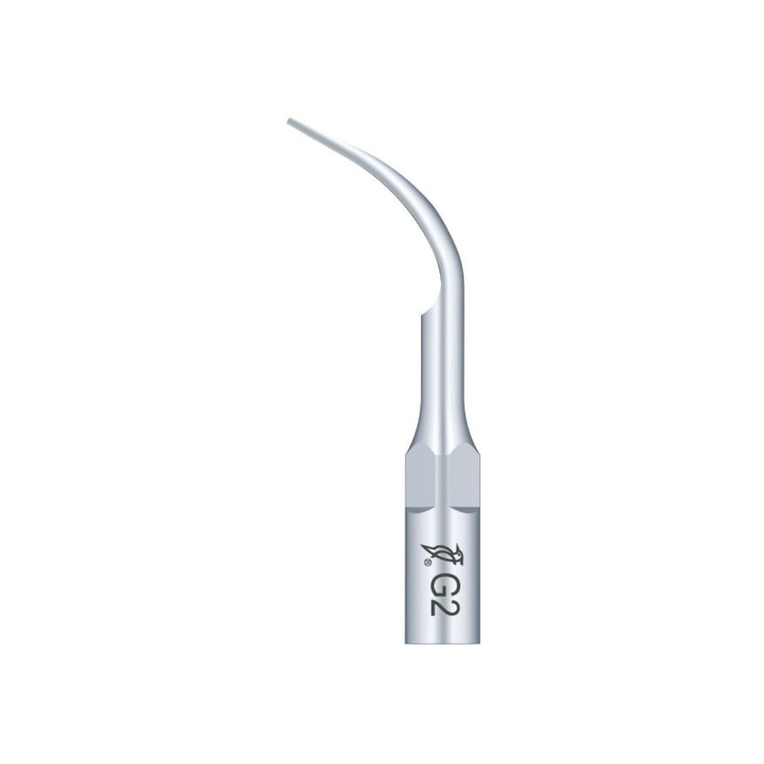 The image shows a G2 ultrasonic scaler tip, a dental instrument made of stainless steel with a curved design. It is commonly used in dental procedures for removing plaque, tartar, and calculus deposits from teeth surfaces, especially in supragingival scaling